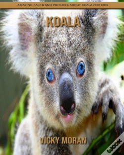 Capa do artigo Koala