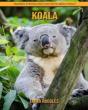 Koala - Preview