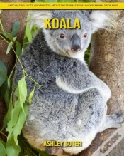 Capa do artigo Koala