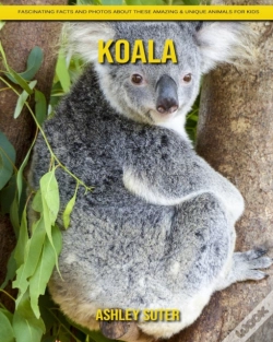 Capa do artigo Koala