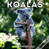 Koalas Calendar 2021
