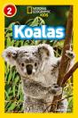 Koalas - Preview