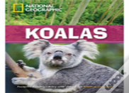 Koalas