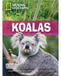 Koalas - Preview