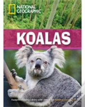 Capa do artigo Koalas