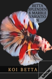 Capa do artigo Koi Betta