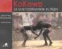 Kokowa : La Lutte Traditionnelle Au Niger - Preview
