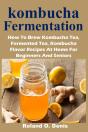 Kombucha Fermentation - Preview