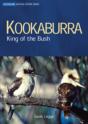 Kookaburra - Preview