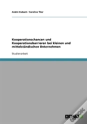 Capa do artigo Kooperationschancen Und Kooperationsbarrieren Bei Kleinen Und Mittelstandischen Unternehmen