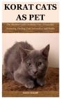 Korat Cats As Pet - Preview