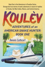Capa do artigo Koulev