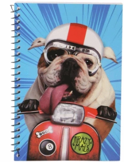 Capa do artigo Krazymals Bulldog Bloc de Notas, Azul