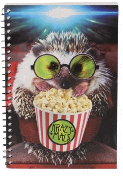 Capa do artigo Krazymals Hedgehog Notebook, Multicolor