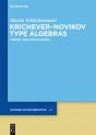 Krichever-Novikov Type Algebras - Preview