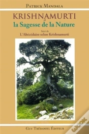 Capa do artigo Krishnamurti