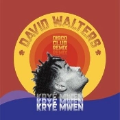 Capa do artigo Kryé Mwen (Disco Club Remix) - Vinil