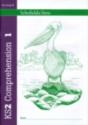 Ks2 Comprehension Book 1 - Preview