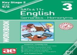 Ks2 Semantics Year 5/6 Workbook 3 - Homonyms
