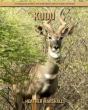 Kudu - Preview