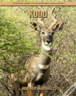 Capa do artigo Kudu