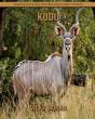 Kudu - Preview