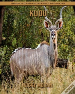 Capa do artigo Kudu
