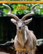 Kudu - Preview