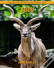 Capa do artigo Kudu