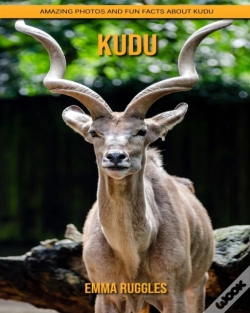 Capa do artigo Kudu