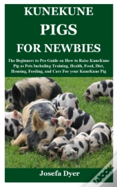 Kunekune Pigs For Newbies