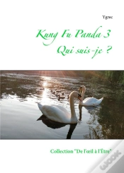 Capa do artigo Kung Fu Panda 3
