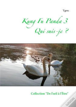 Capa do artigo Kung Fu Panda 3