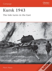 Capa do artigo Kursk 1943