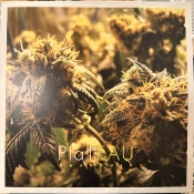 Capa do artigo Kushbush - Vinil