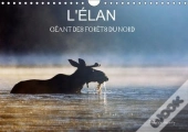L Elan Geant Des Forets Du Nord Calendrier Mural 2018 Din A4 Horizontal
