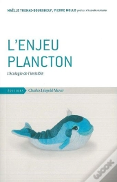 L' Enjeu Plancton : L'Écologie De L'Invisible