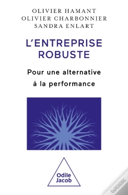 Capa do artigo L' Entreprise Robuste