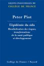 L' Épidémie Du Sida : Mondialisation Des Risques, Transformations De La Santé Publique Et Développement - Preview