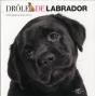 L For Labrador - Preview