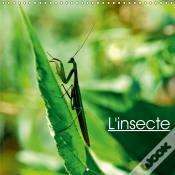 Capa do artigo L Insecte Calendrier Mural 2018 300 300 Mm Square