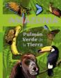 La Amazonia. Pulmón Verde De La Tierra - Preview
