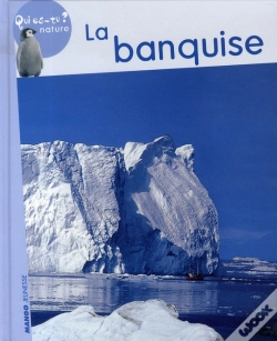 Capa do artigo La Banquise