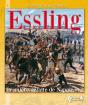 La Bataille D'Essling ; Autriche, Mai 1809 - Preview