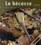 La Bécasse Et Ses Chasses
