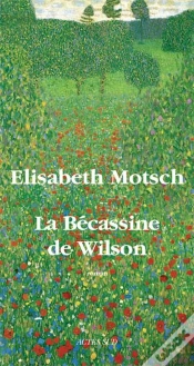 Capa do artigo La Bécassine De Wilson