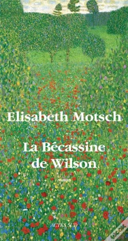 Capa do artigo La Bécassine De Wilson
