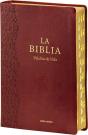 La Biblia (Palabra De Vida) Letra Extragrande - Preview