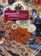 La Biodiversité Littorale Vue Par Mathurin Méheut