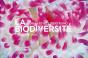 La Biodiversite - Preview
